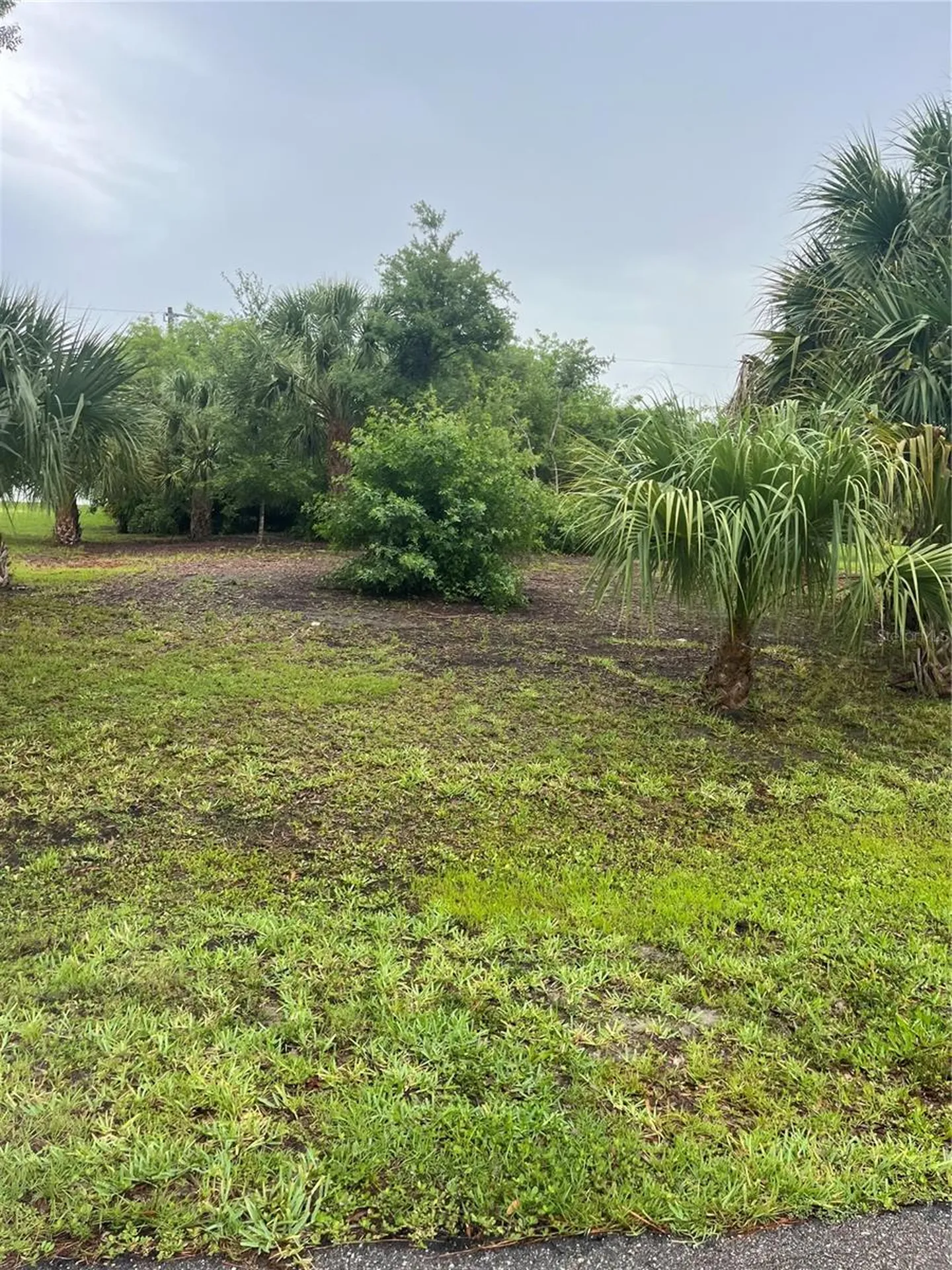 23084 August Avenue Port Charlotte FL 33954