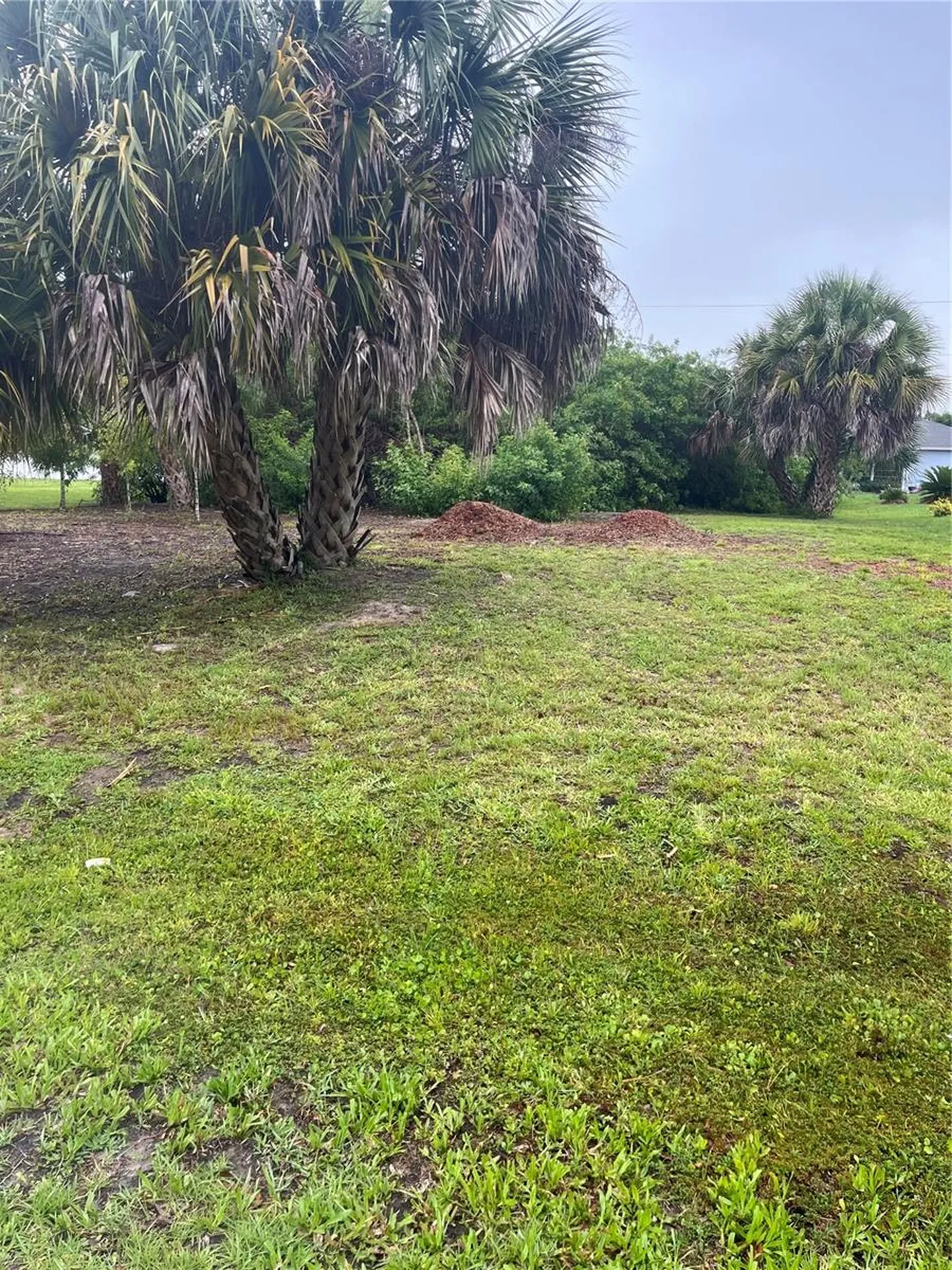 23084 August Avenue Port Charlotte FL 33954
