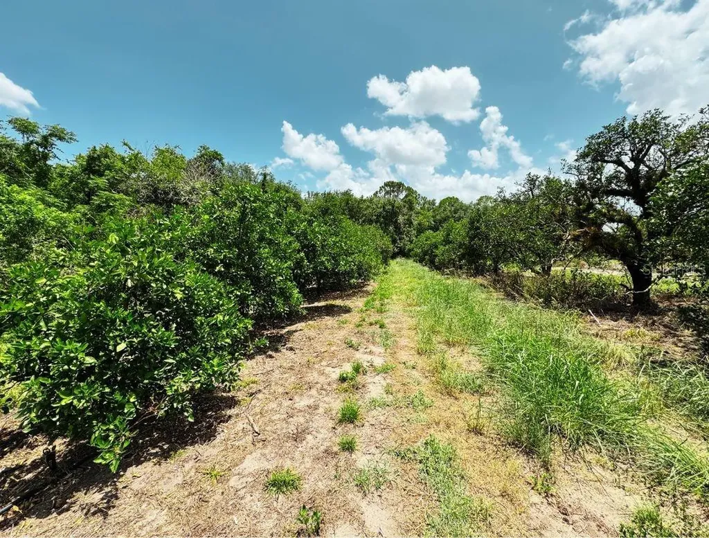 115 Heinley Road Lake Placid FL 33852