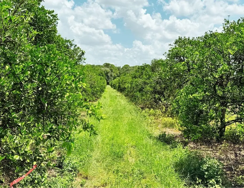 115 Heinley Road Lake Placid FL 33852