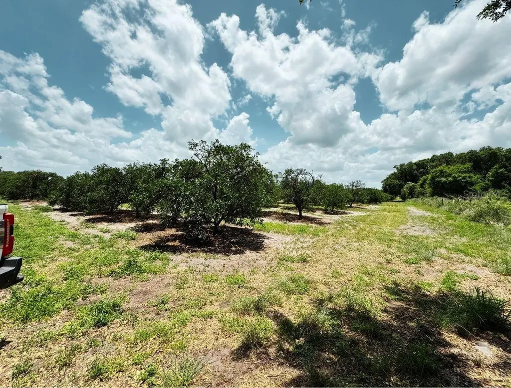 115 Heinley Road Lake Placid FL 33852
