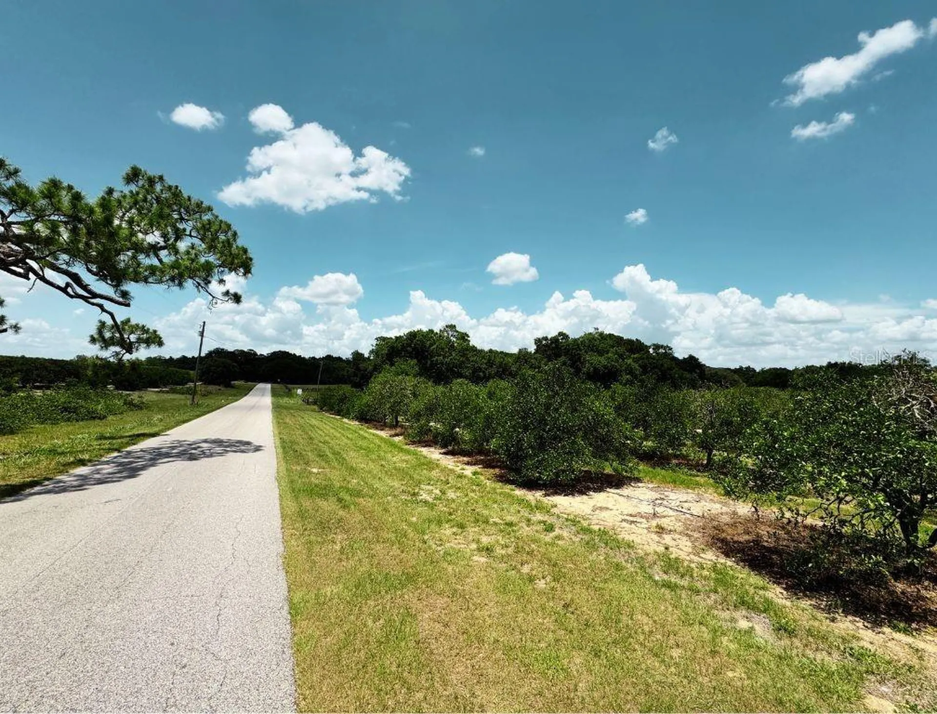 115 Heinley Road Lake Placid FL 33852