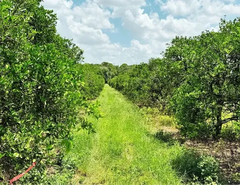 115 Heinley Road Lake Placid FL 33852