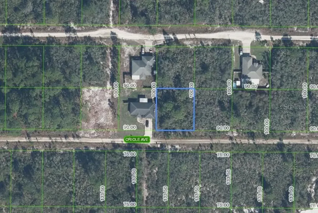 229 Oriole Avenue Sebring FL 33870