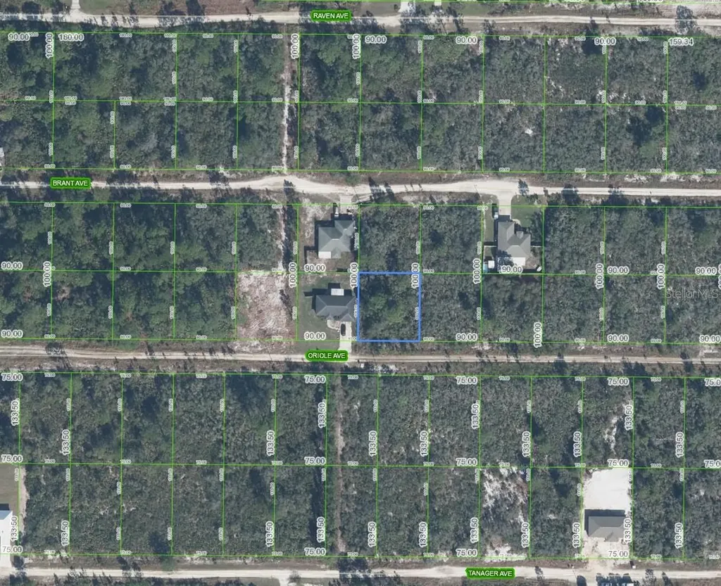 229 Oriole Avenue Sebring FL 33870