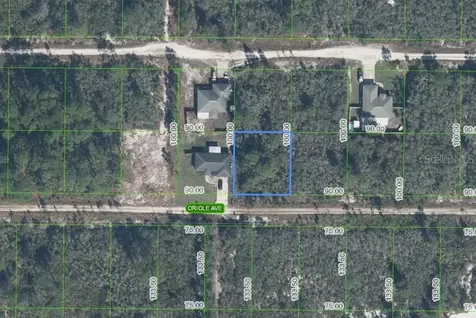 229 Oriole Avenue Sebring FL 33870
