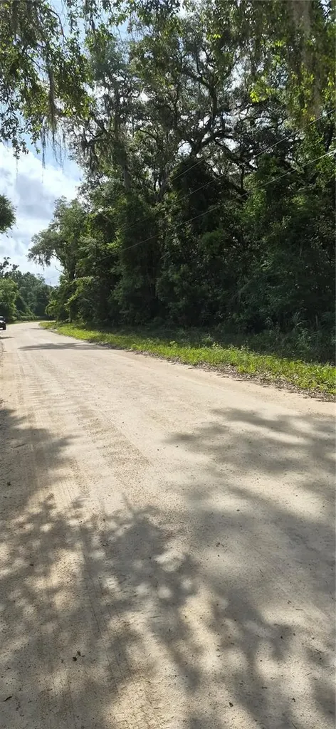 NE 278 Avenue Old Town FL 32680