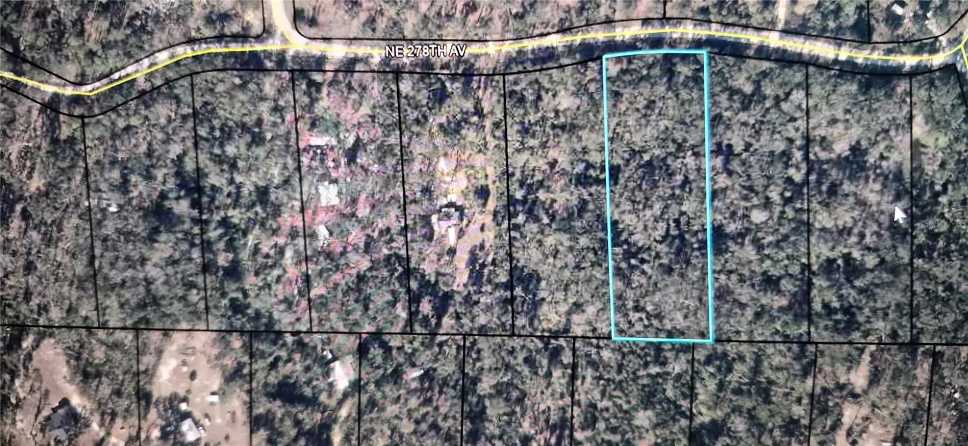 NE 278 Avenue Old Town FL 32680