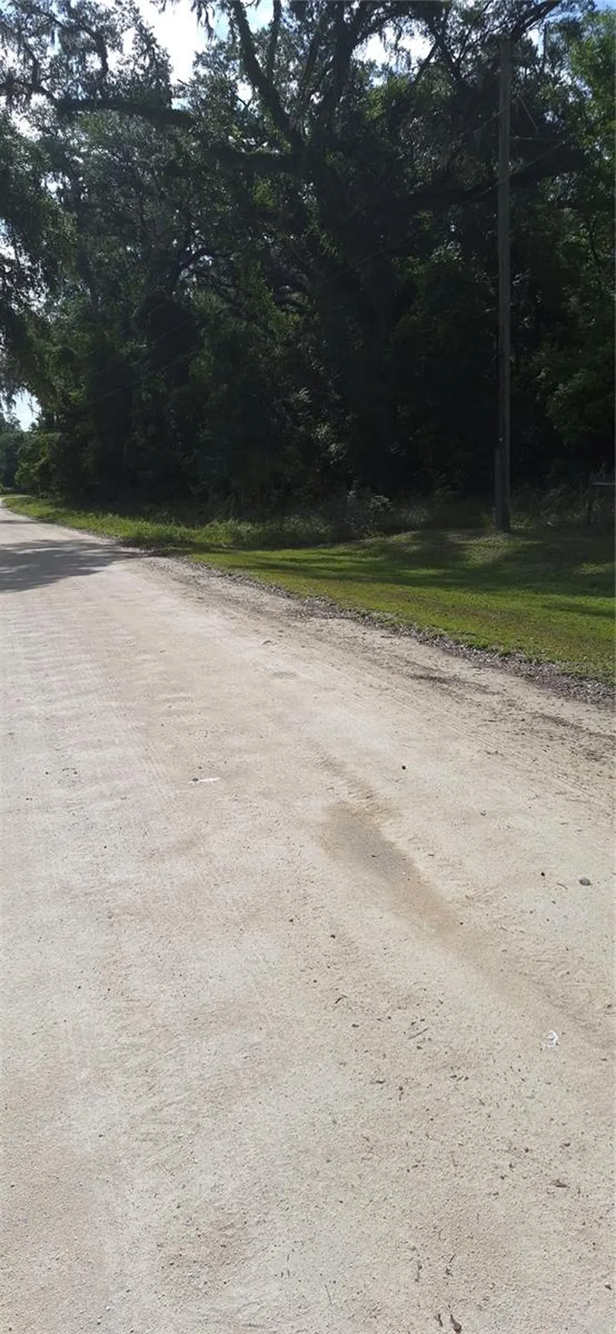 NE 278 Avenue Old Town FL 32680
