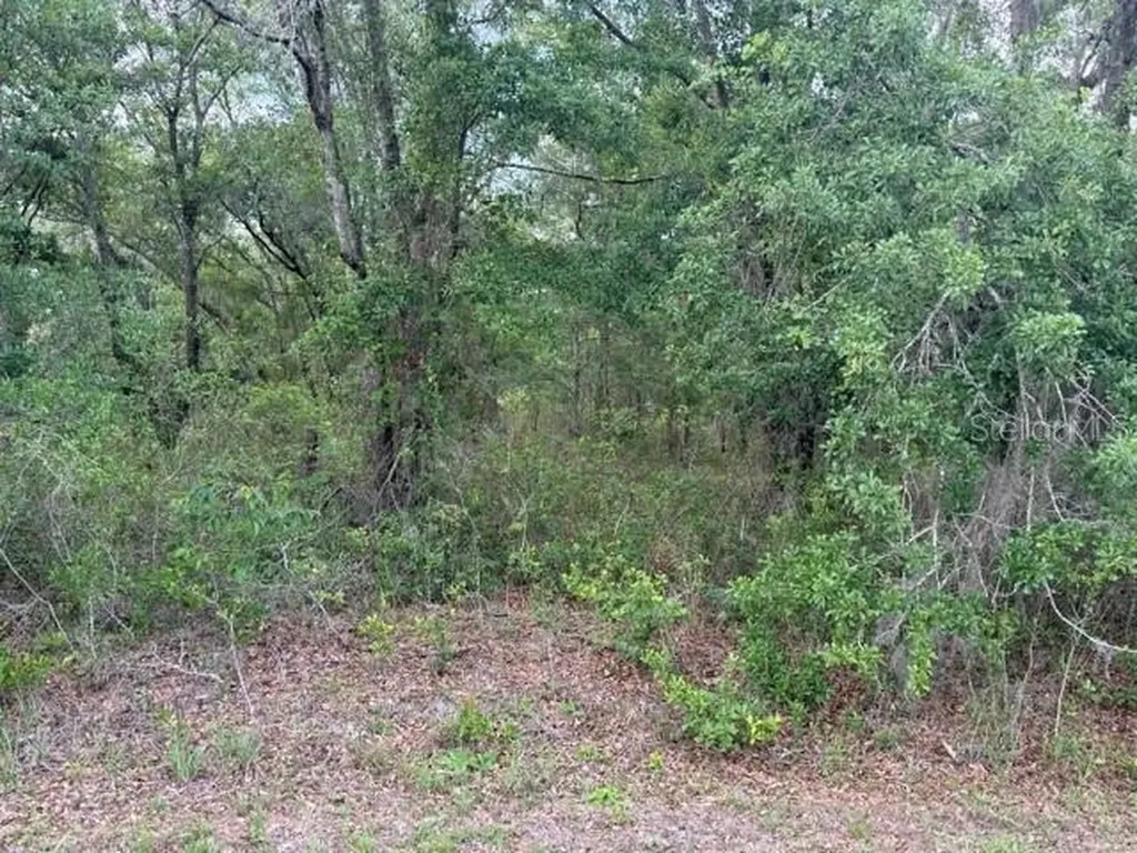 21902 NE 69th Place Melrose FL 32666