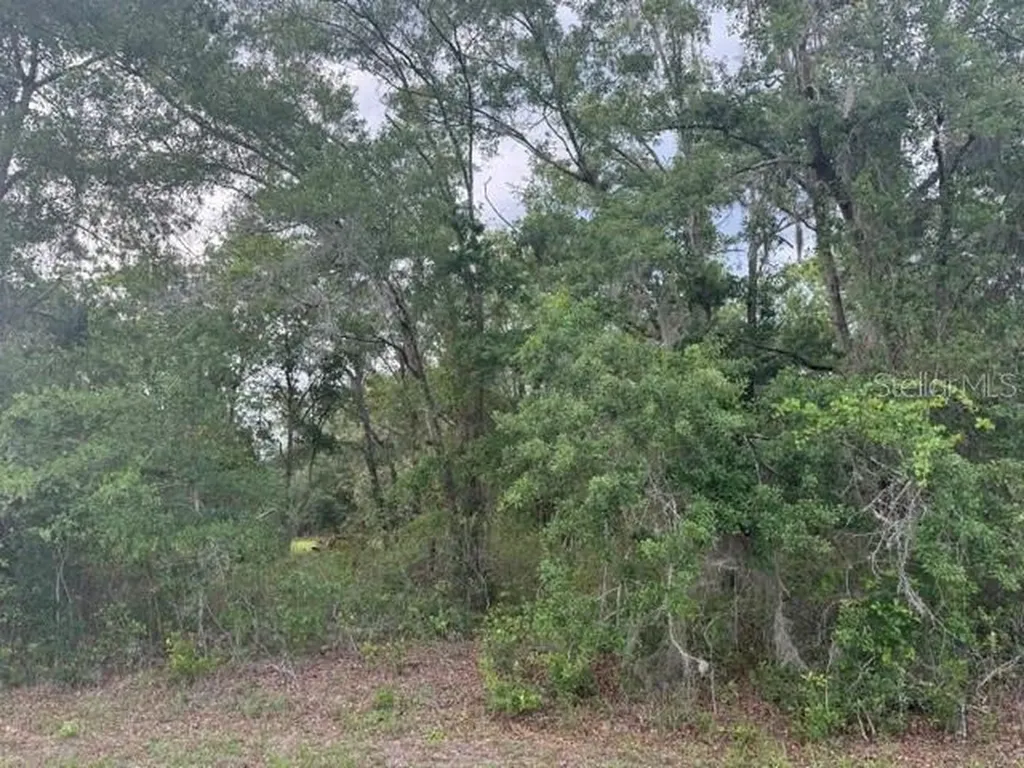 21902 NE 69th Place Melrose FL 32666