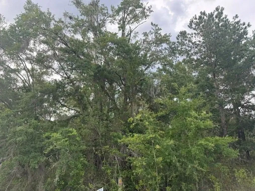 21902 NE 69th Place Melrose FL 32666