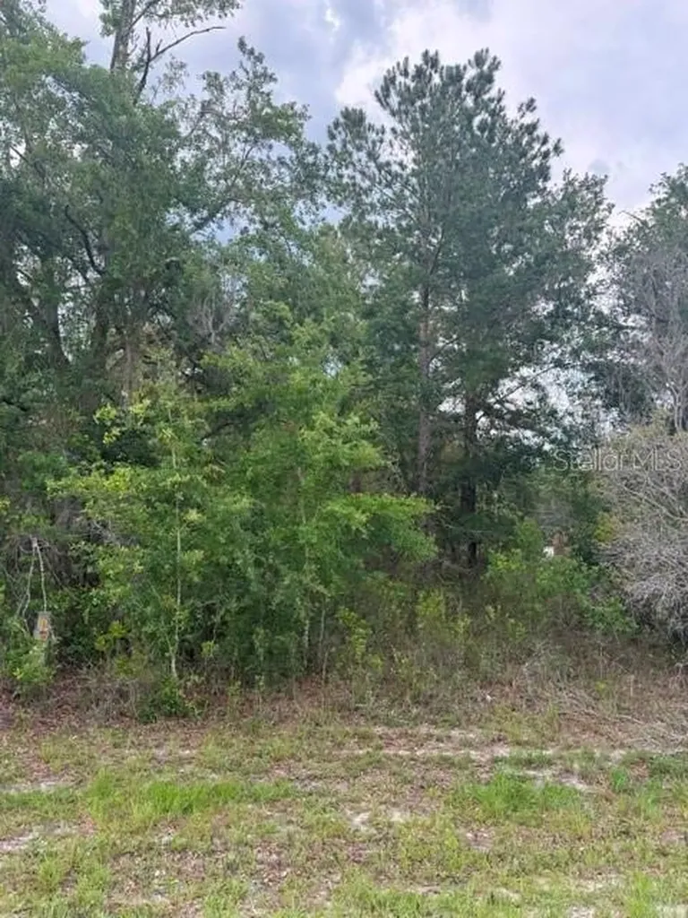 21902 NE 69th Place Melrose FL 32666