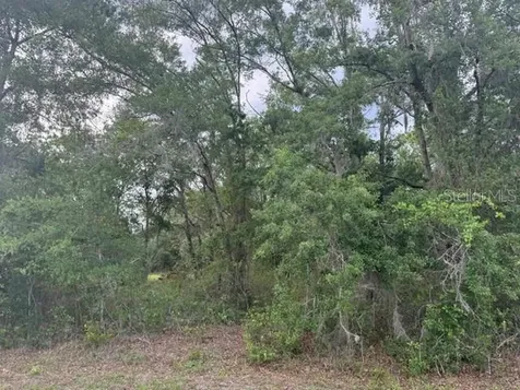 21902 NE 69th Place Melrose FL 32666