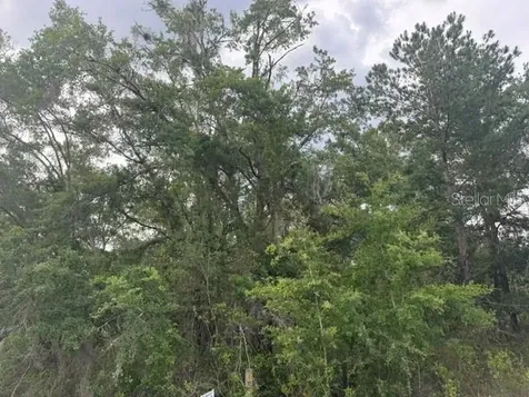 21902 NE 69th Place Melrose FL 32666