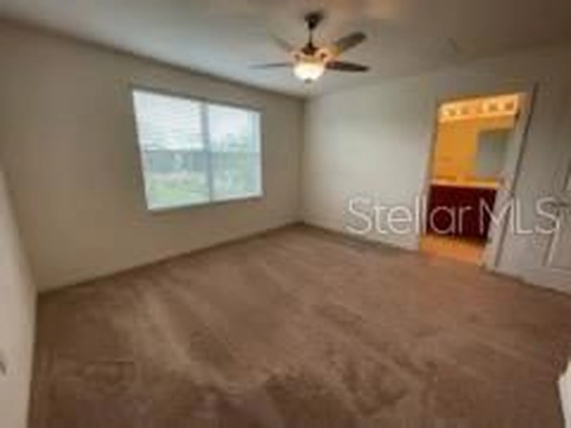 6824 Holly Heath Drive Riverview FL 33578