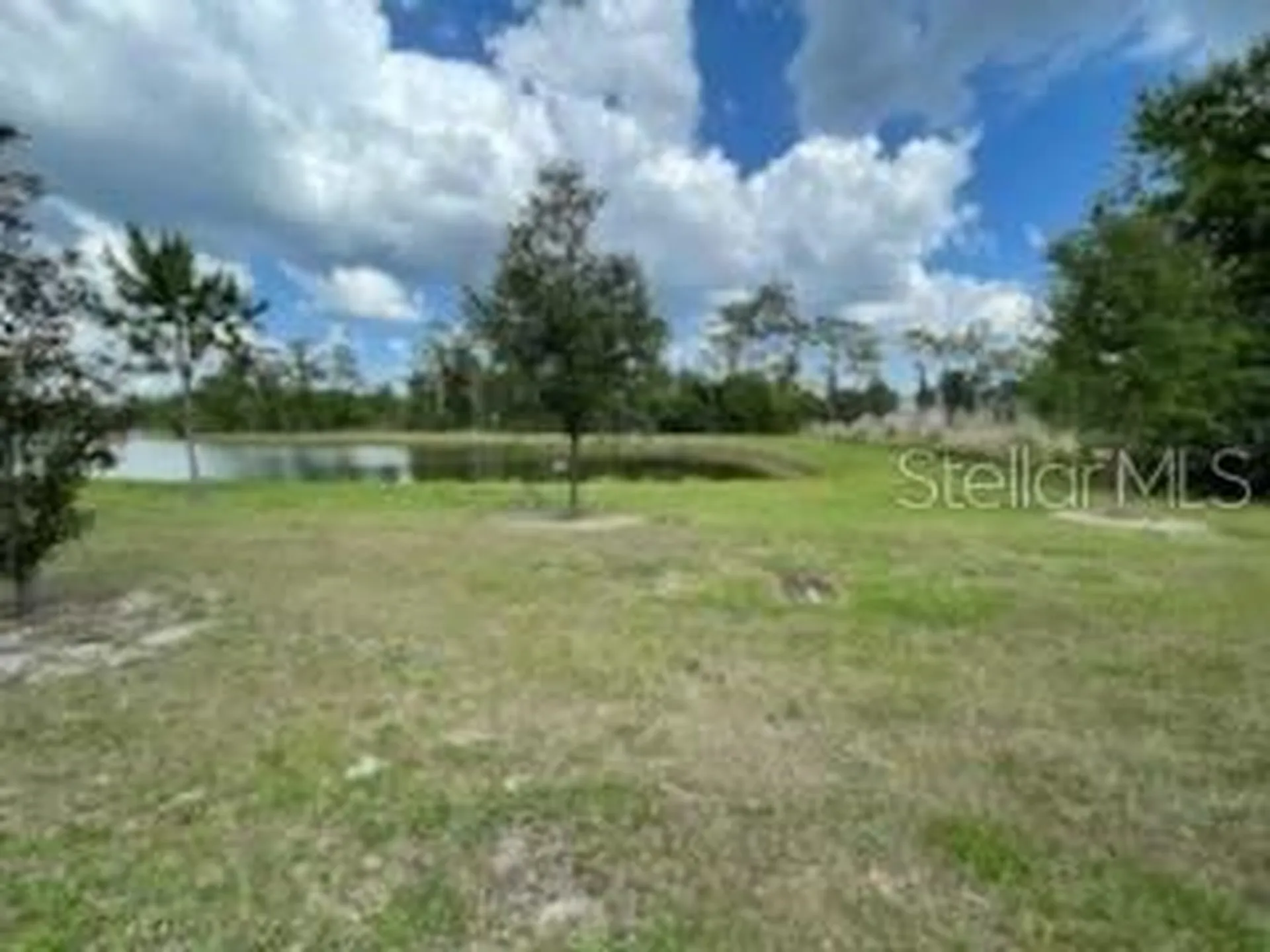 6824 Holly Heath Drive Riverview FL 33578