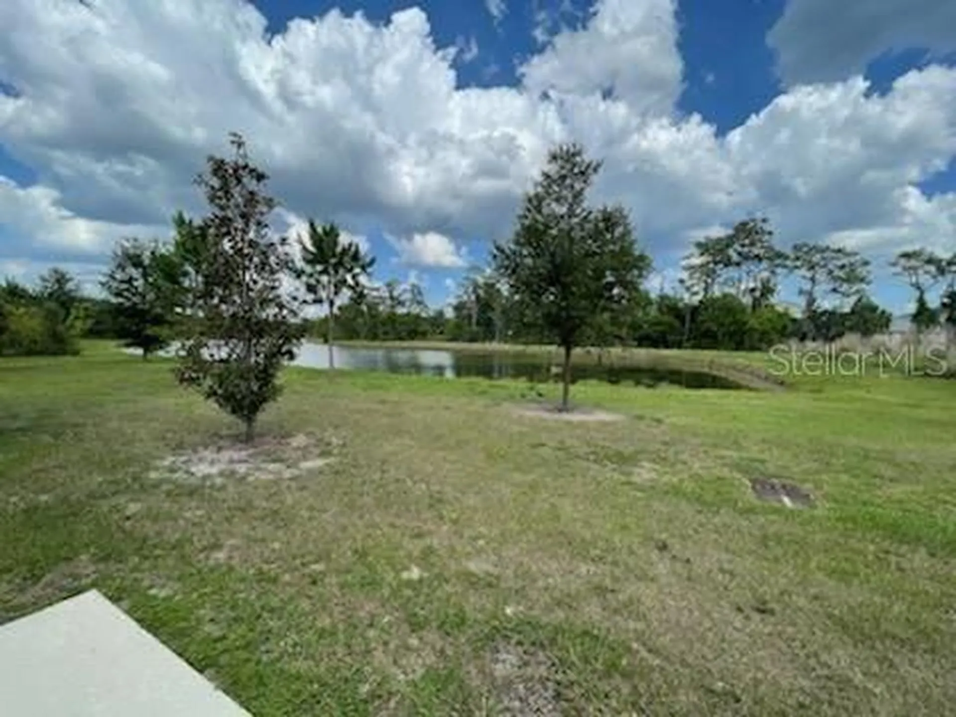 6824 Holly Heath Drive Riverview FL 33578