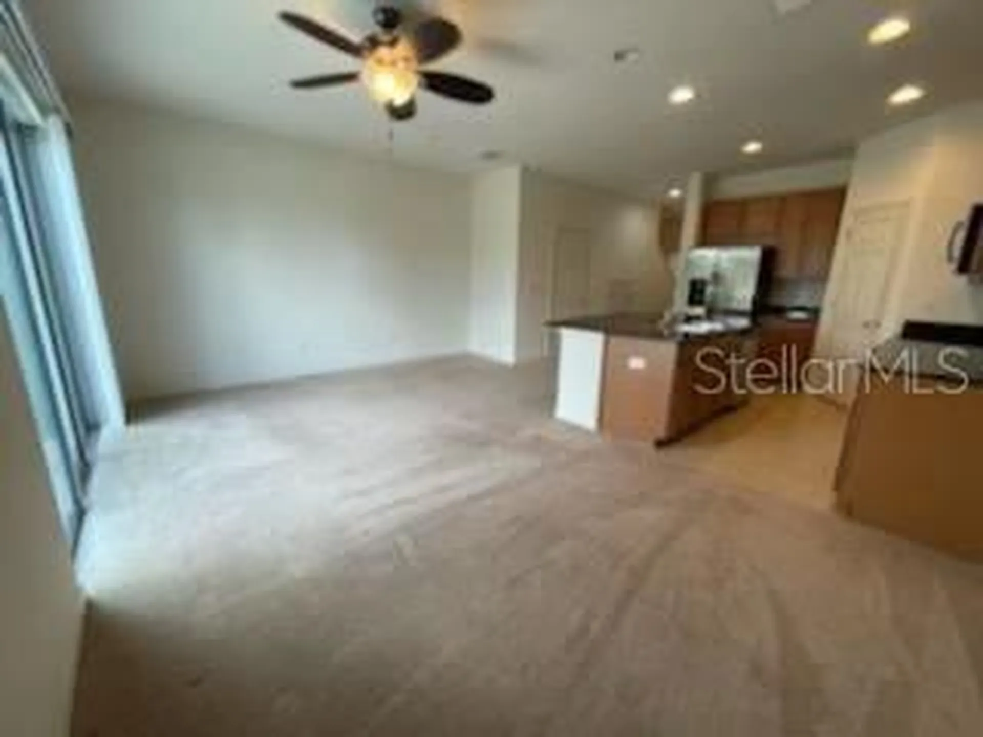 6824 Holly Heath Drive Riverview FL 33578