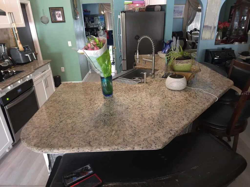 16 Perch Drive Kissimmee FL 34759