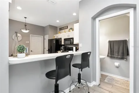 10033 Tranquility Way Tampa FL 33625