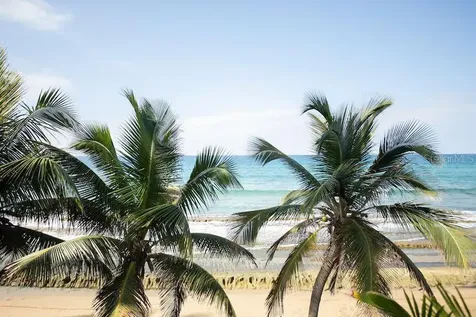 115 Parcelas Nieves Playa 115 Marginal Km 19.3 Int Aguada PR 00602