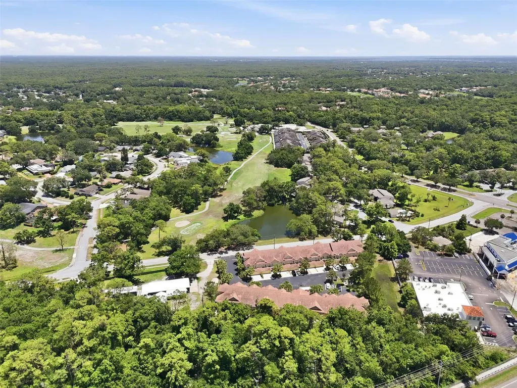 2656 Tanglewood Trail Palm Harbor FL 34685