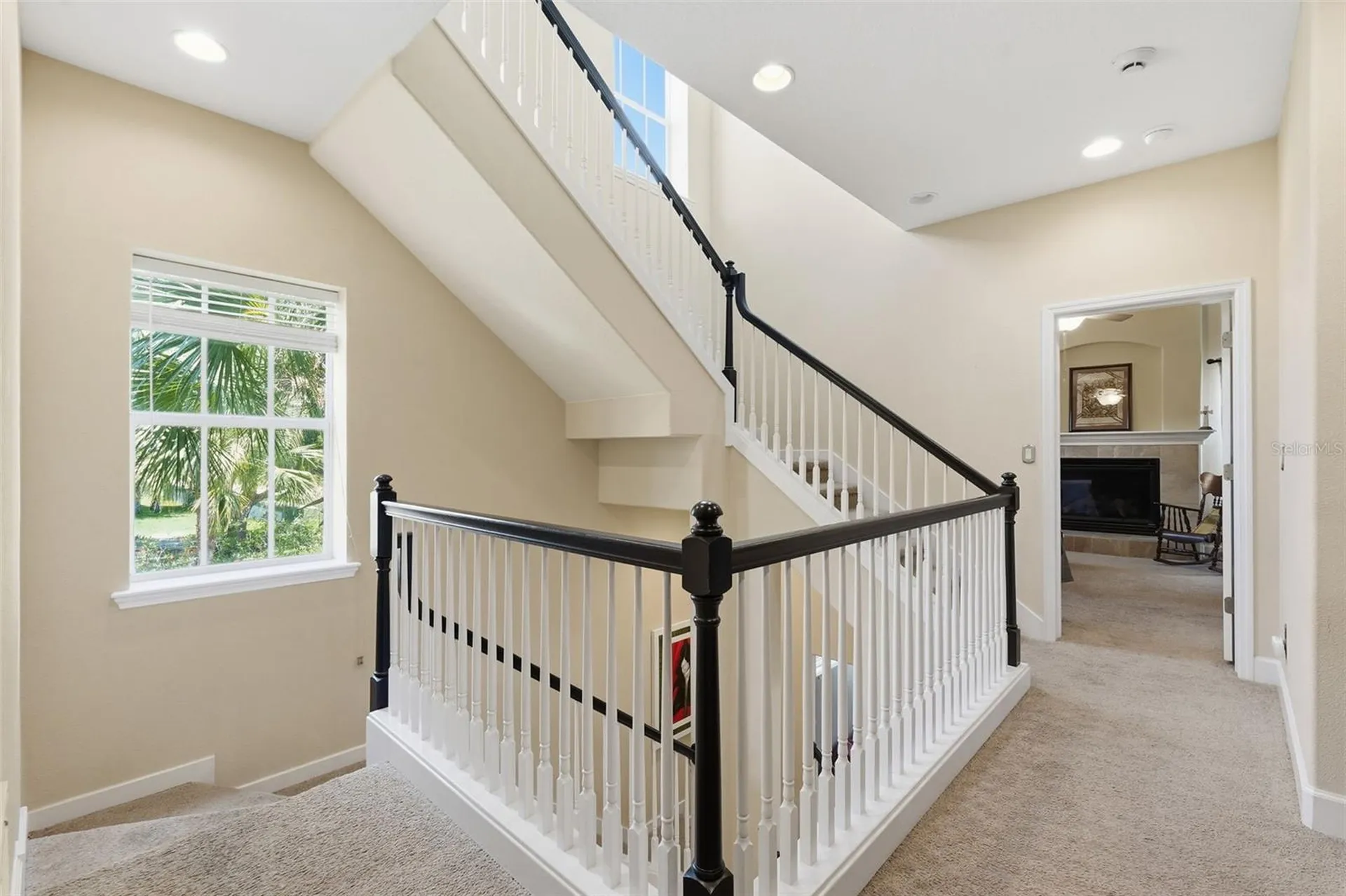 2656 Tanglewood Trail Palm Harbor FL 34685