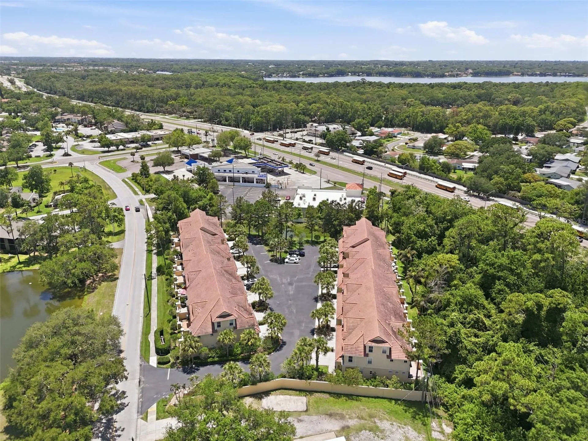 2656 Tanglewood Trail Palm Harbor FL 34685