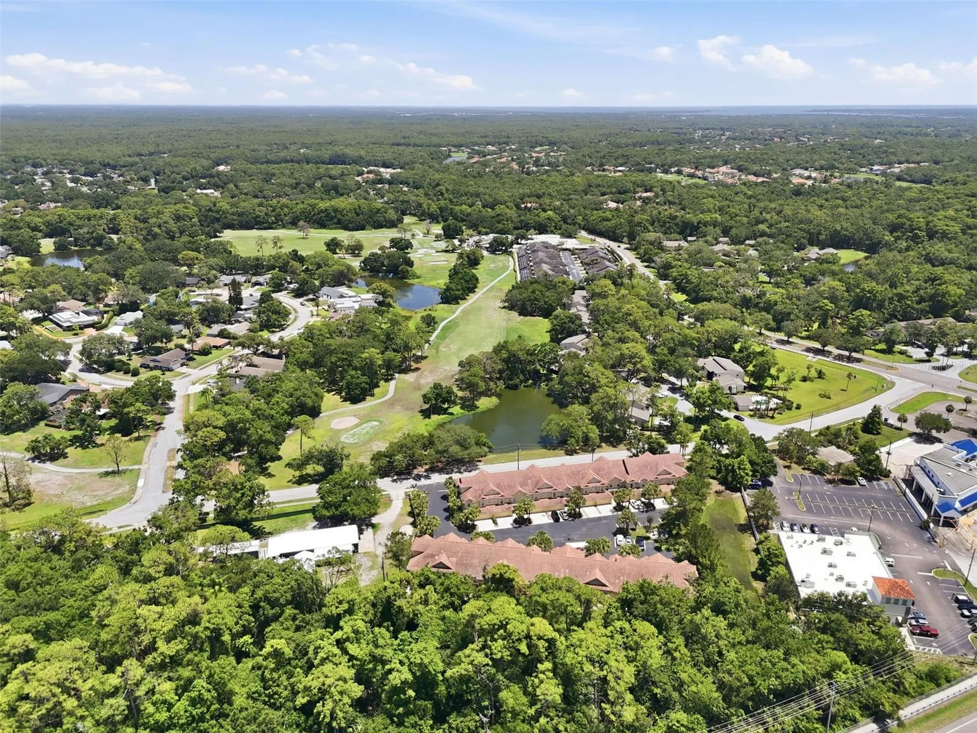 2656 Tanglewood Trail Palm Harbor FL 34685