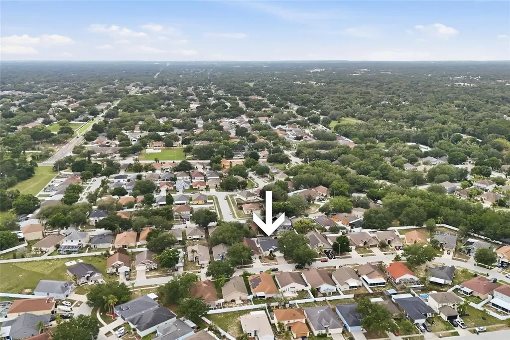 4432 Horseshoe Pick Lane Valrico FL 33594