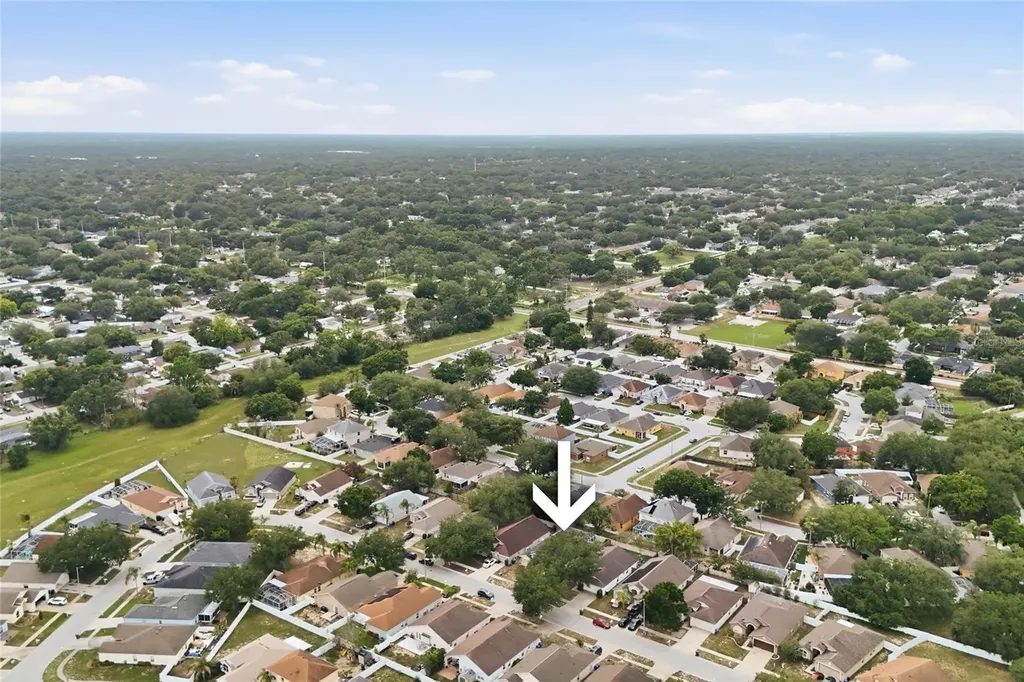 4432 Horseshoe Pick Lane Valrico FL 33594