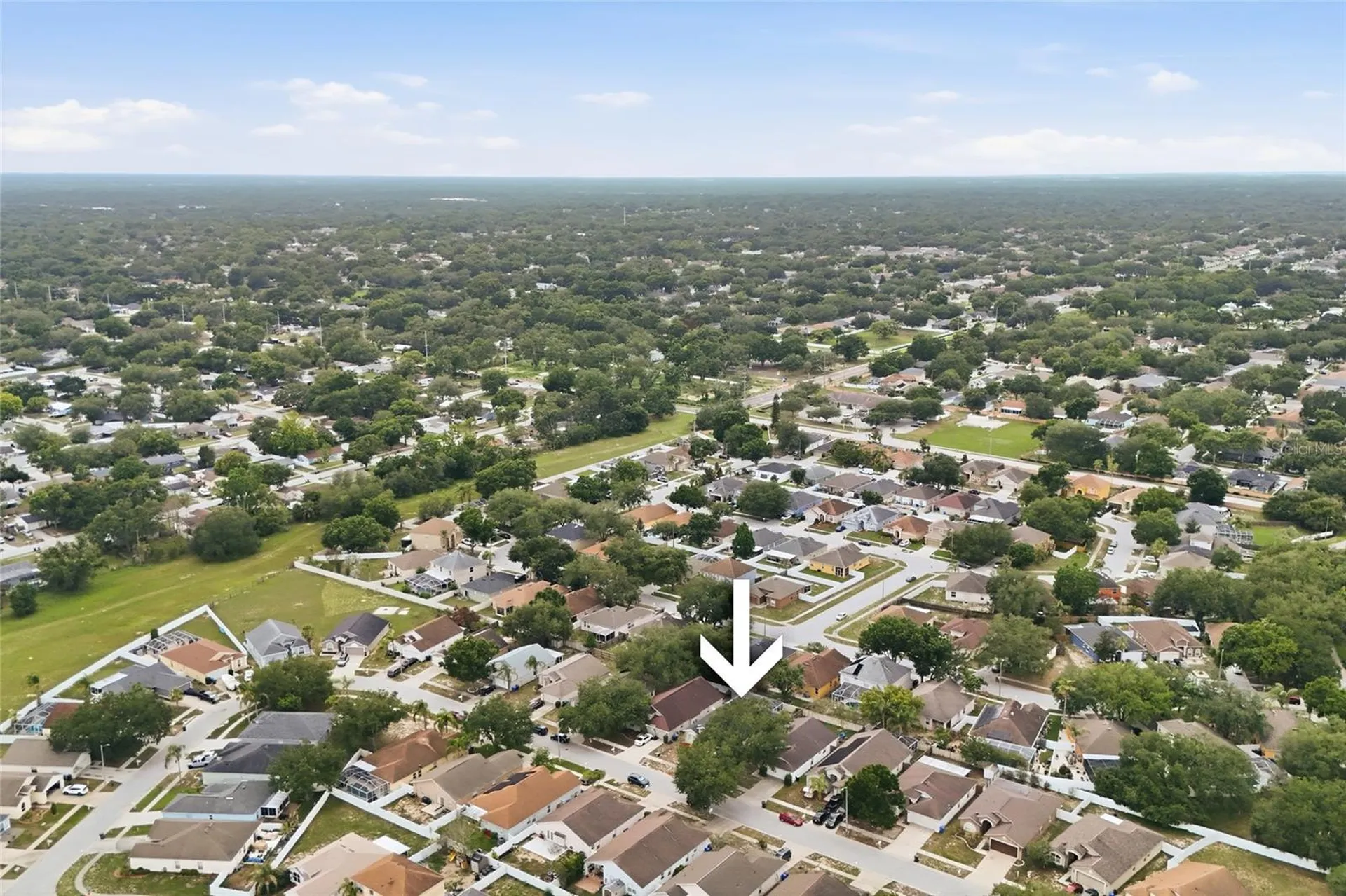 4432 Horseshoe Pick Lane Valrico FL 33594