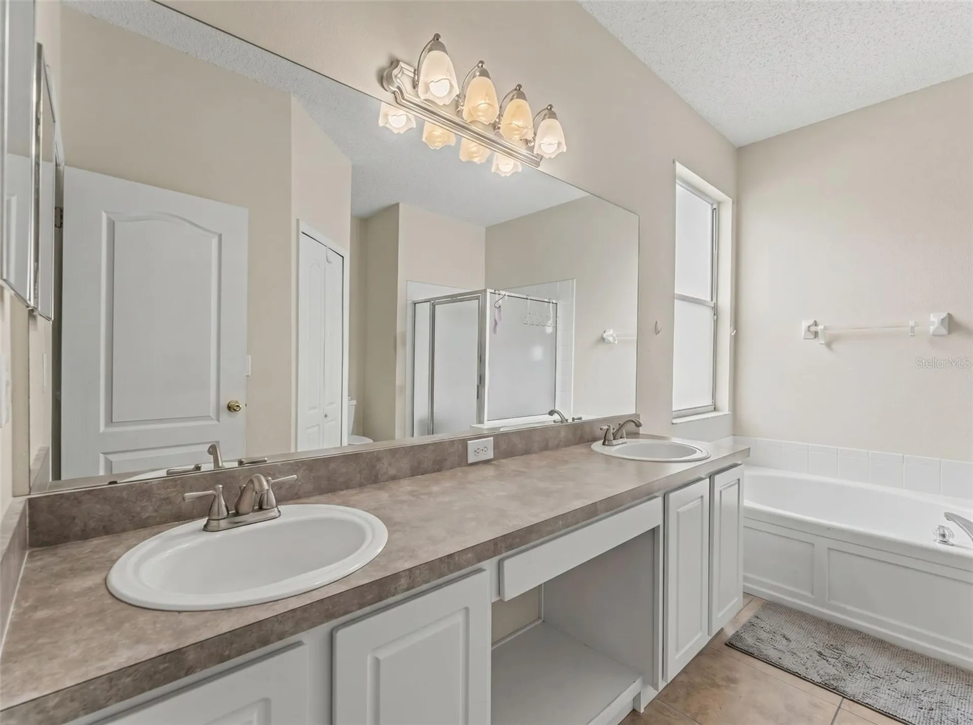 22536 Laureldale Drive Lutz FL 33549