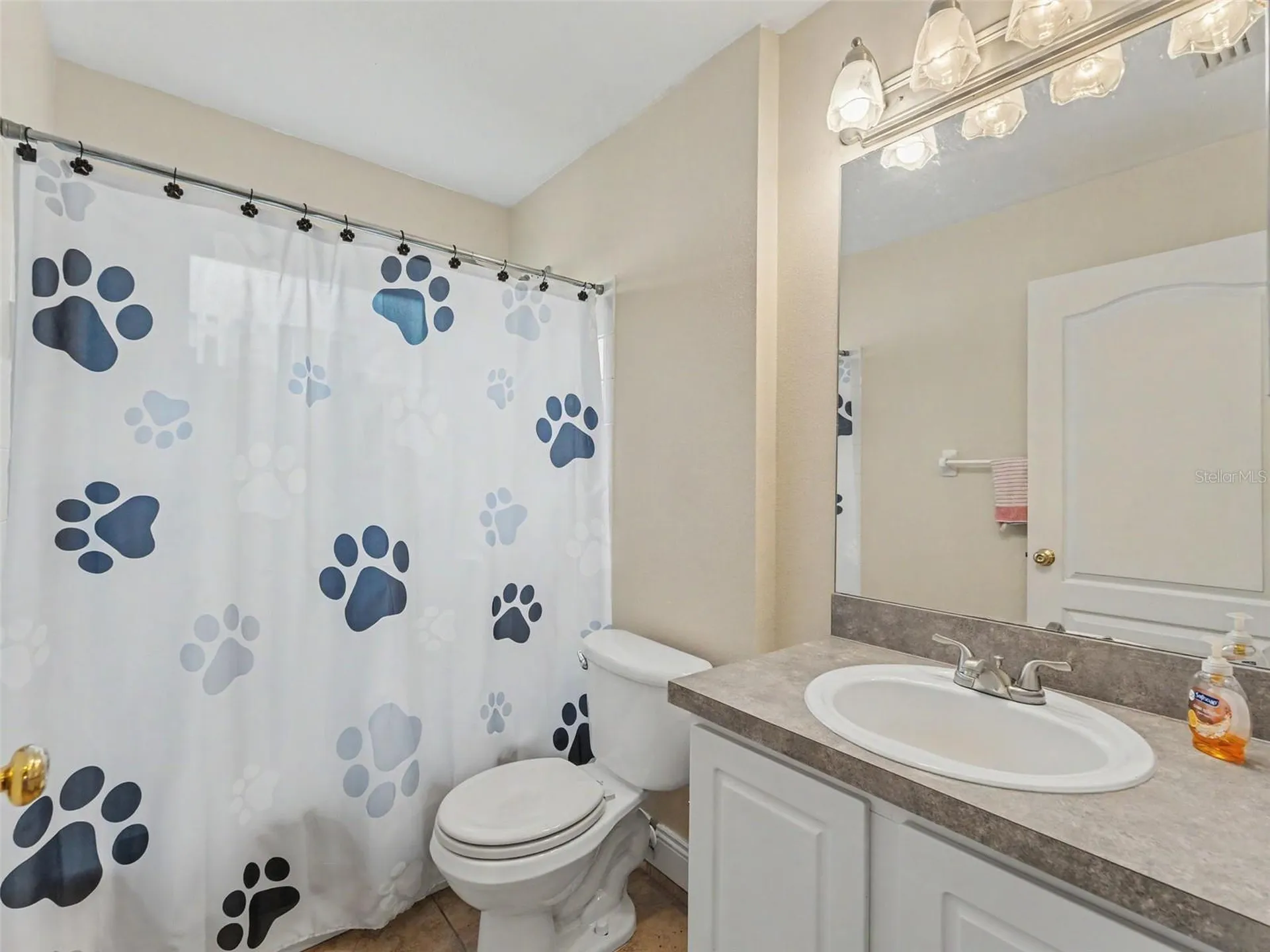 22536 Laureldale Drive Lutz FL 33549