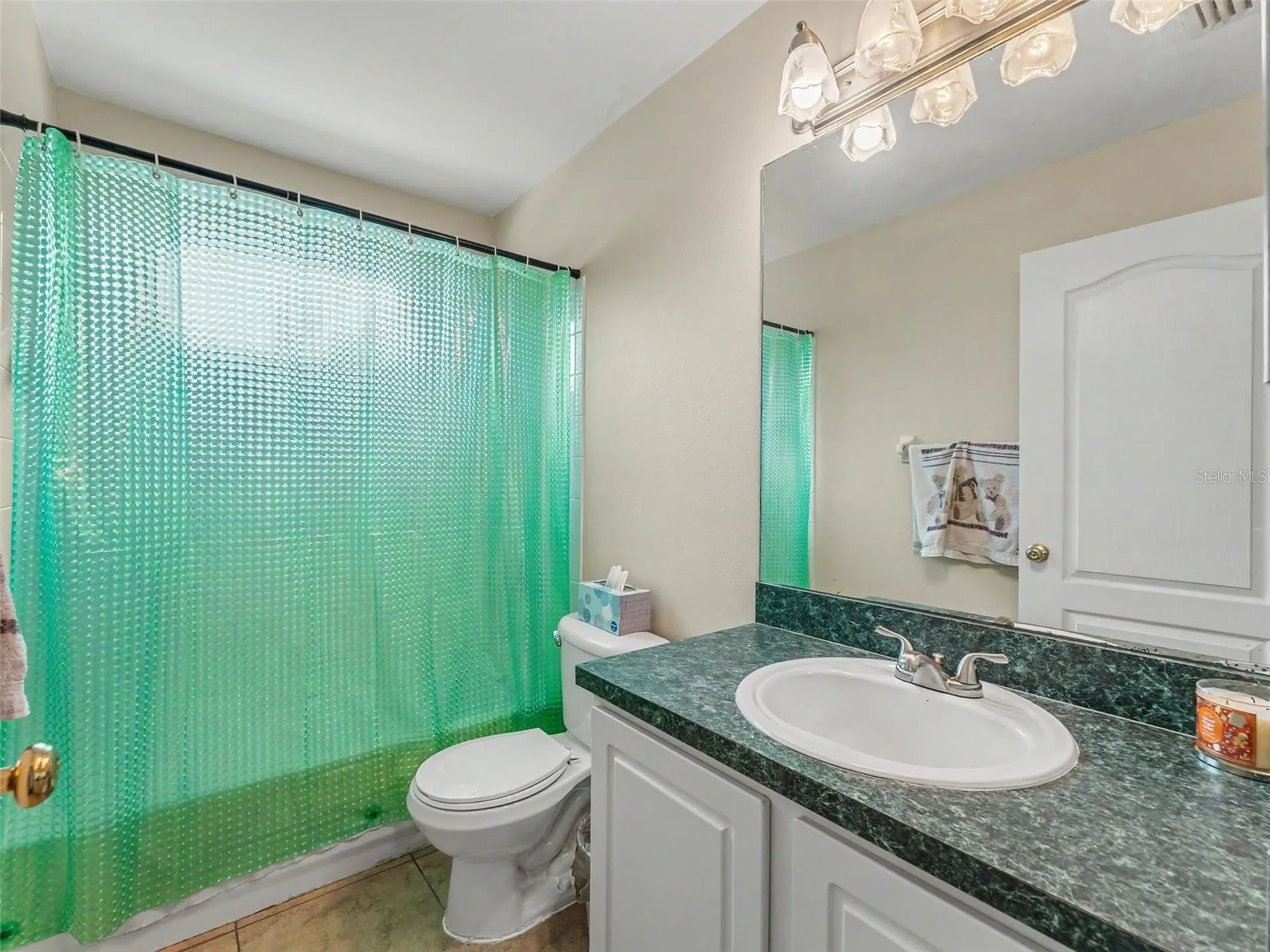 22536 Laureldale Drive Lutz FL 33549