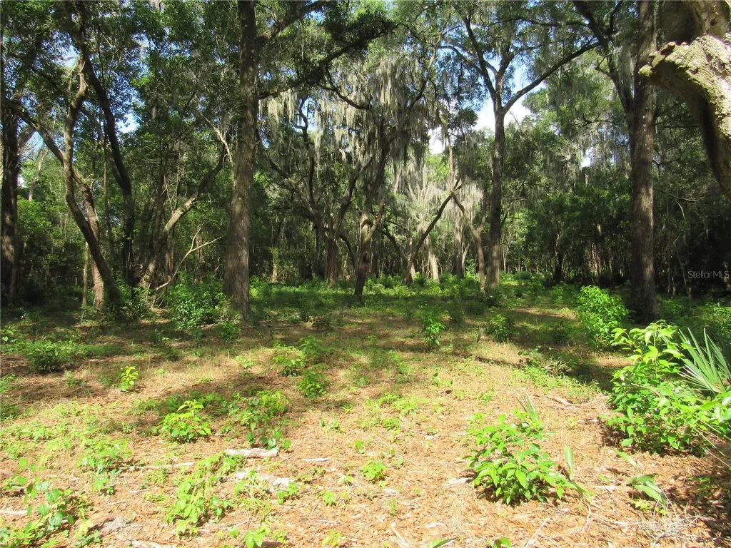 Oak Valley Drive Deland FL 32720