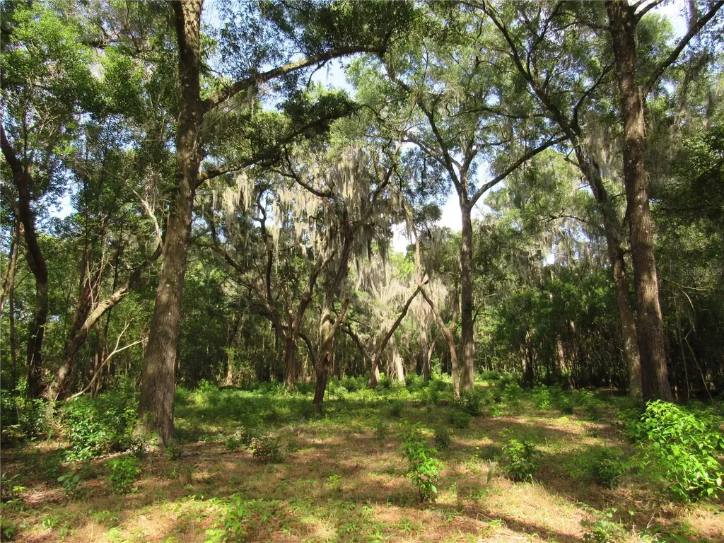 Oak Valley Drive Deland FL 32720