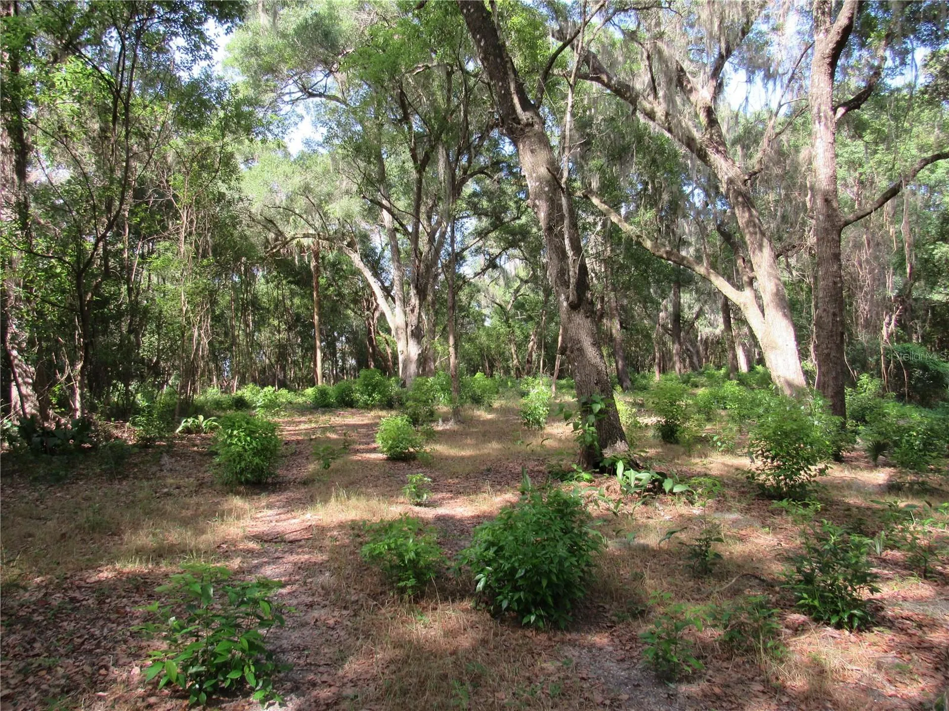Oak Valley Drive Deland FL 32720