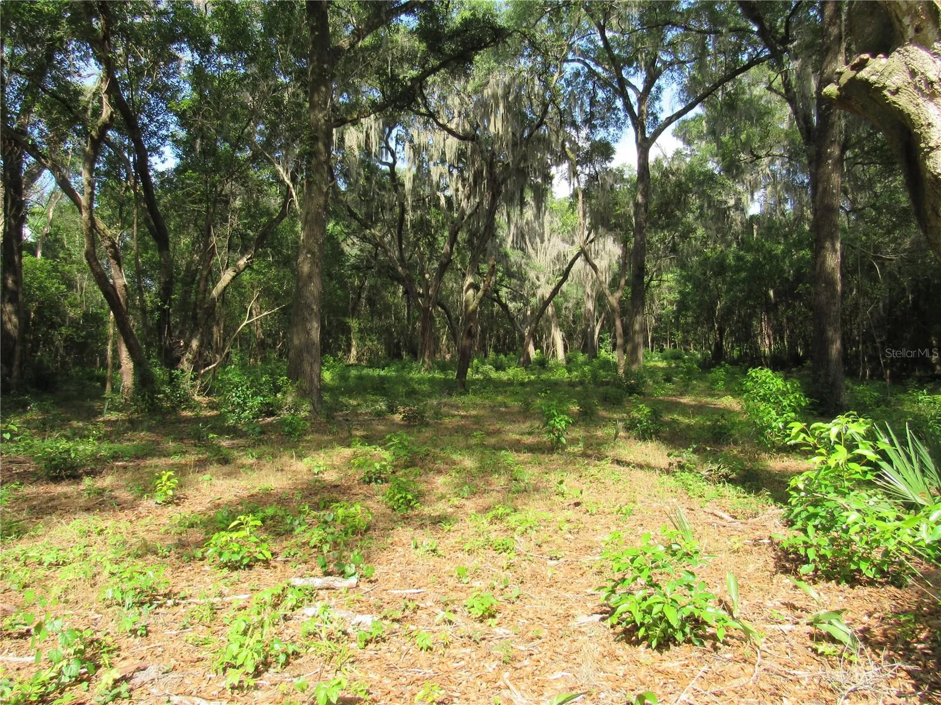 Oak Valley Drive Deland FL 32720