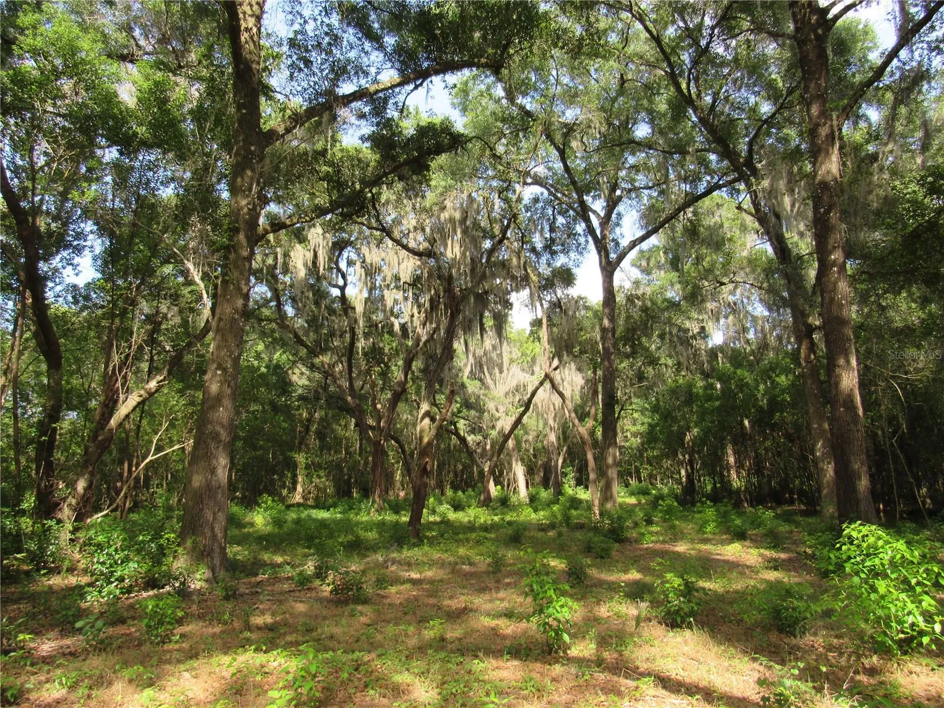 Oak Valley Drive Deland FL 32720