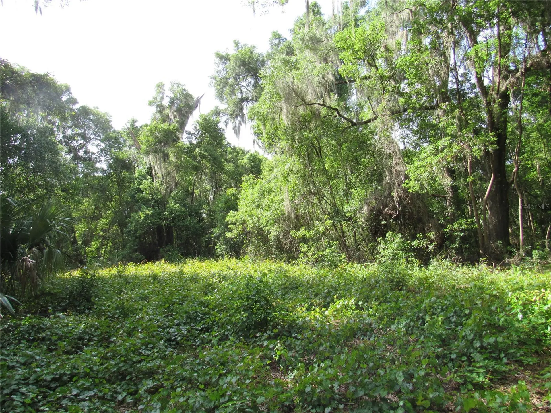 Oak Valley Drive Deland FL 32720
