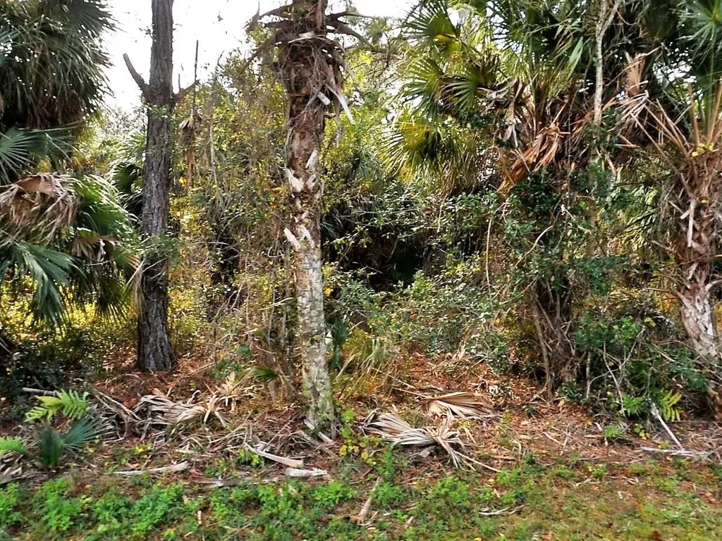 Vogler Lane North Port FL 34286