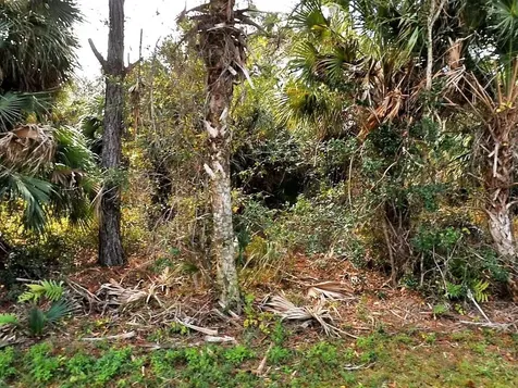 Vogler Lane North Port FL 34286