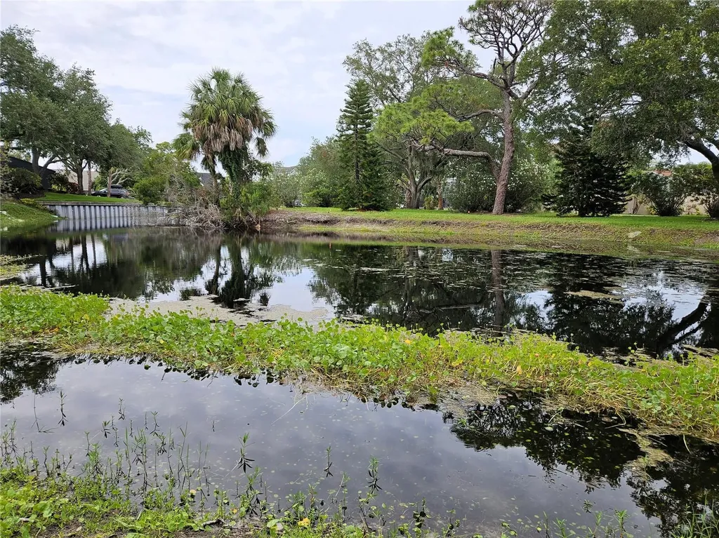 1800 Mariner Drive Tarpon Springs FL 34689