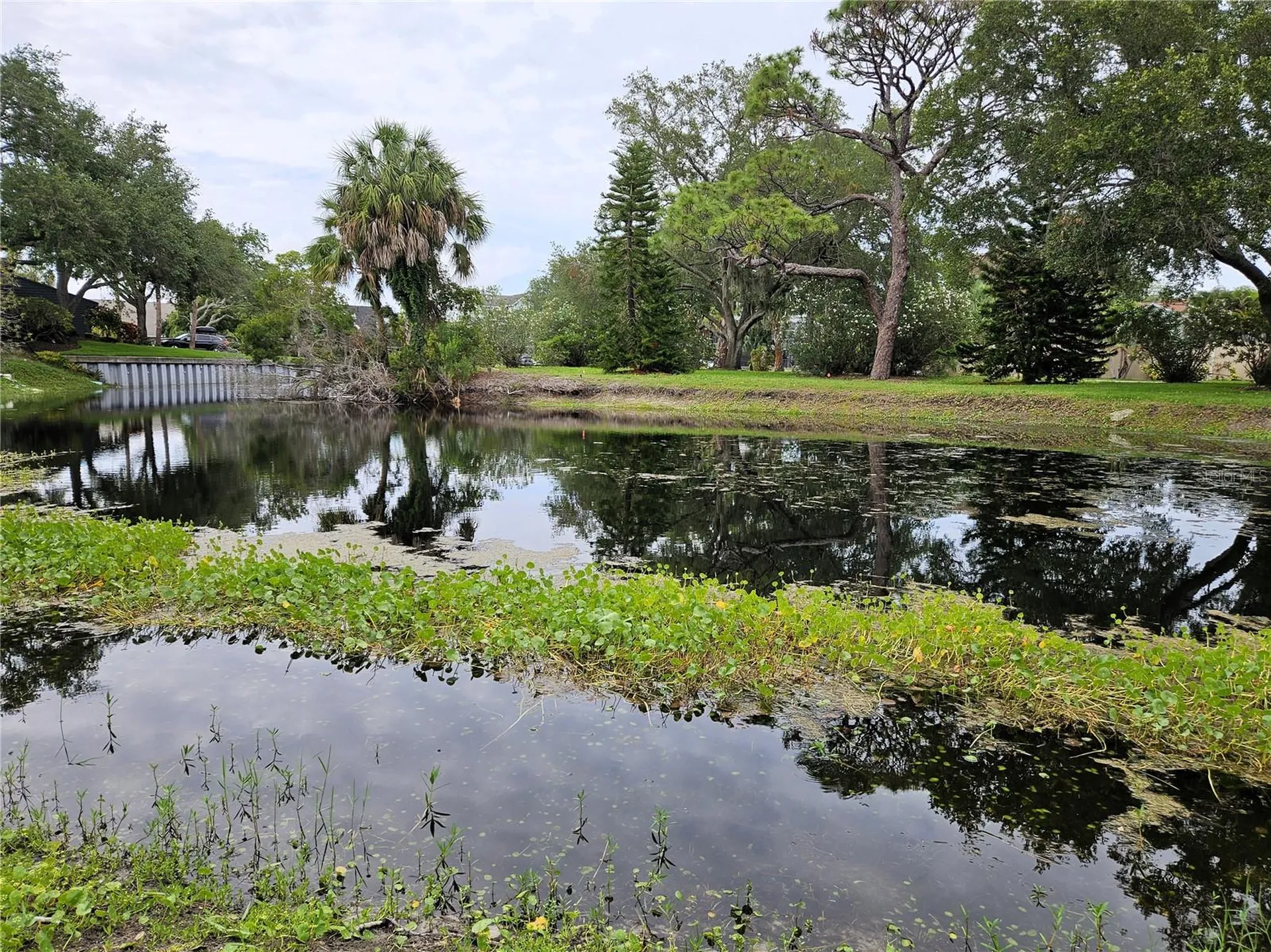 1800 Mariner Drive Tarpon Springs FL 34689