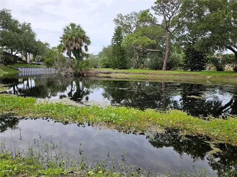 1800 Mariner Drive Tarpon Springs FL 34689