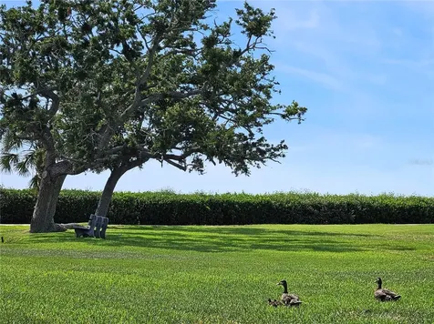 1800 Mariner Drive Tarpon Springs FL 34689