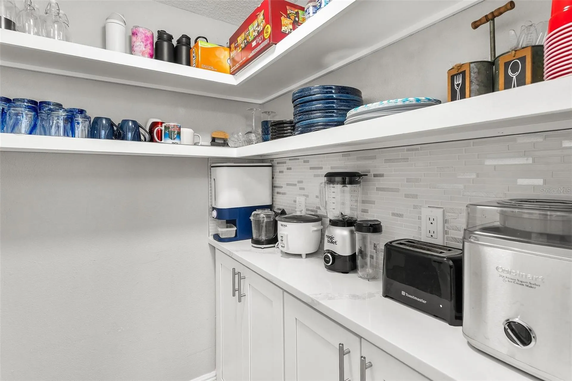 1008 Monterey Drive Leesburg FL 34748