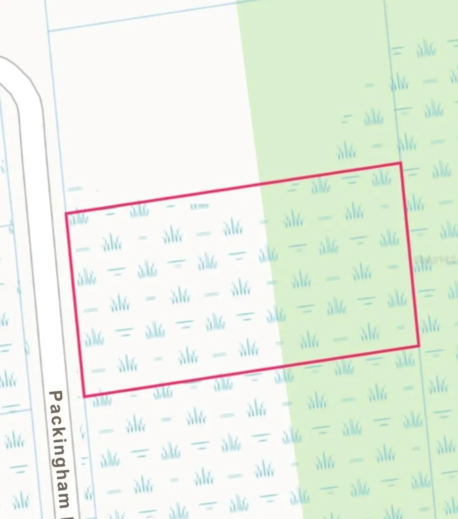 Packingham Dr, Lot 10 Webster FL 33597